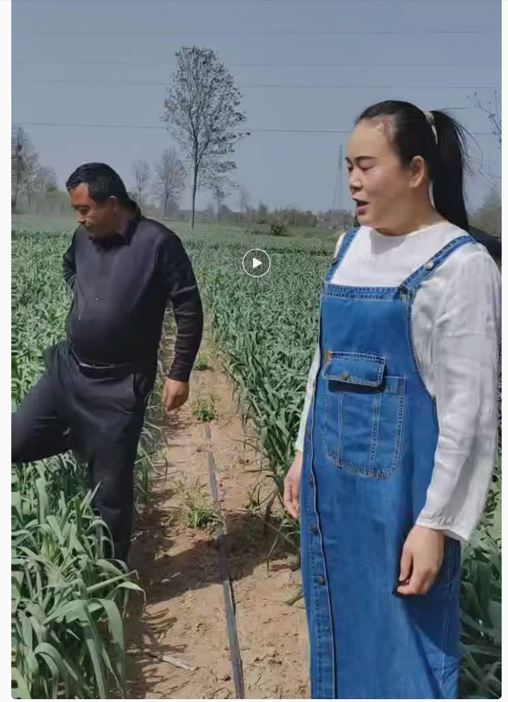 《如何远离气泡蒜》？？？